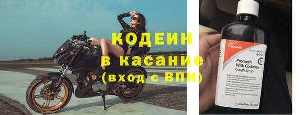твердый Дмитровск