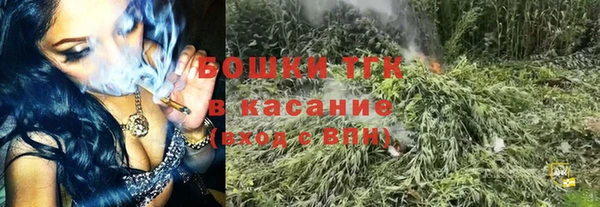 дмт Белокуриха